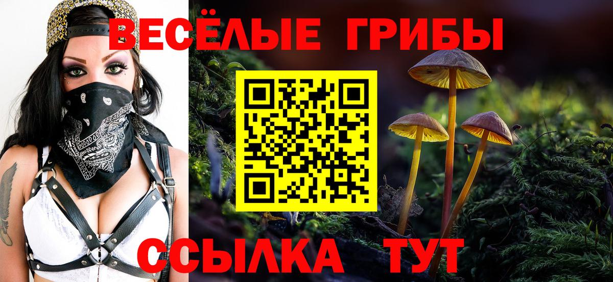 Псилоцибиновые грибы ЛСД  Вход с VPN  Ярославль 
