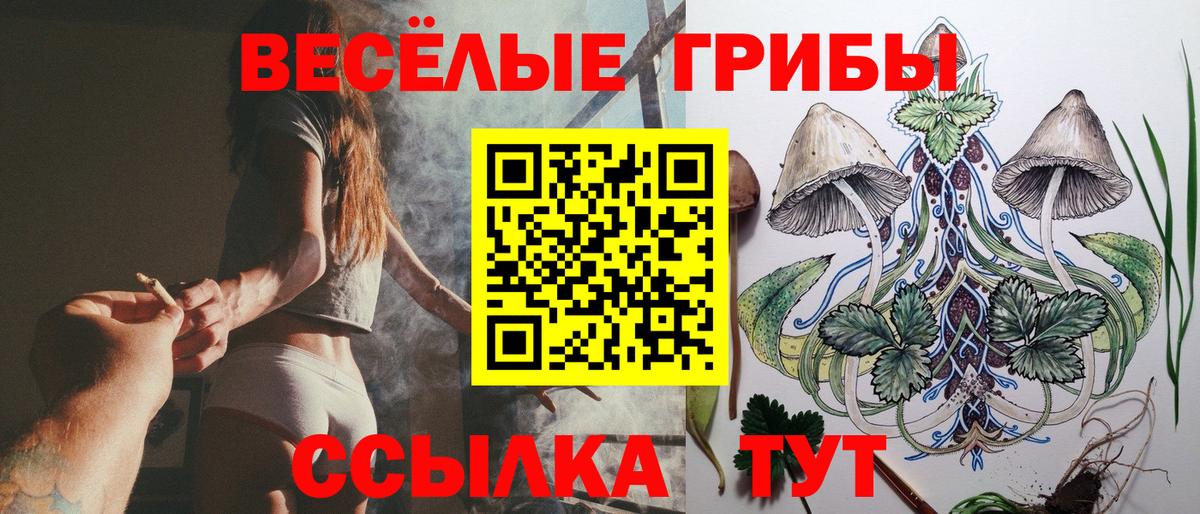 ГАШ Ярославль